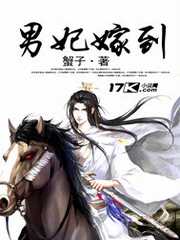 男妃嫁到全文免费阅读